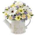Regadera de Flores, flores para jardín y decoración de hogar con flores blancas, margaritas una bella rosa blanca, es un hermoso regalo para aniversario, regalo de flores para cumpleaños, flores para toda ocasión y decoración, Floristería Flores 24 Horas