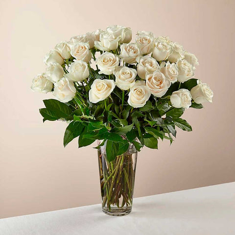 48 Rosas, Ramo de rosas blancas de tallo largo: Las rosas blancas son elegantes, luminosas y acentúan maravillosamente cualquier habitación. Floristería Flores 24 Horas
