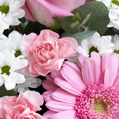 Regalo Perfecto Color Rosa, flores para jardín y decoración de hogar con rosas en jarrón colores rosadas, es un hermoso regalo para aniversario, regalo de flores para cumpleaños, flores para toda ocasión y decoración, Floristería Flores 24 Horas