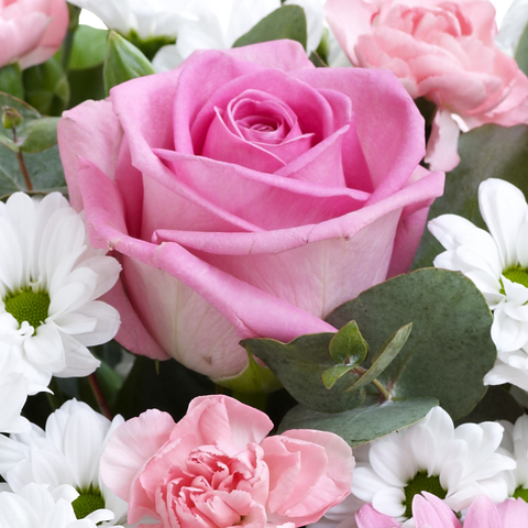 Regalo Perfecto Color Rosa, flores para jardín y decoración de hogar con rosas en jarrón colores rosadas, es un hermoso regalo para aniversario, regalo de flores para cumpleaños, flores para toda ocasión y decoración, Floristería Flores 24 Horas