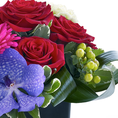 Rosas, Gerberas y Orquídea, flores para jardín y decoración de hogar con rosas, gerberas y orquídea, es un hermoso regalo para aniversario, regalo de flores para cumpleaños, flores para toda ocasión y decoración, Floristería Flores 24 Horas