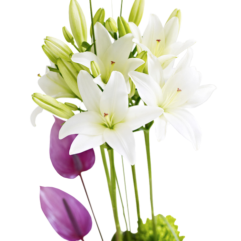 Rosas, Gerberas y Orquídea, flores para jardín y decoración de hogar con rosas, gerberas y orquídea, es un hermoso regalo para aniversario, regalo de flores para cumpleaños, flores para toda ocasión y decoración, Floristería Flores 24 Horas